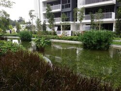 The Lakefront Residences (D22), Condominium #435233201